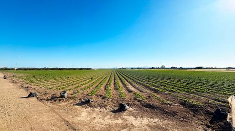 Photo 4 of Land for sale in Diseminado Meroños, 175, Mar Menor Golf, Torre-Pacheco