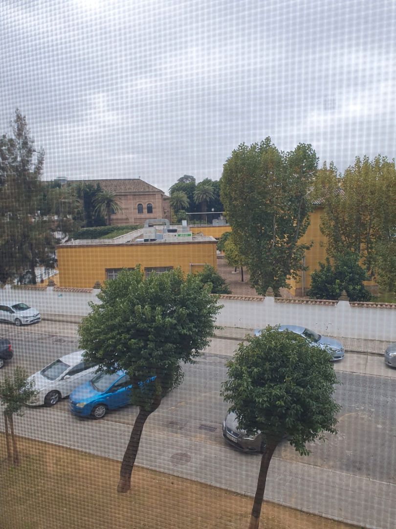 Exterior view of Flat for sale in  Sevilla Capital  with Air Conditioner, Terrace and Furnished