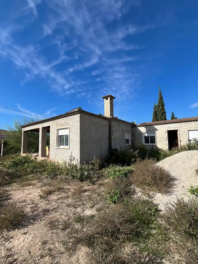 Vista exterior de Finca rústica en venta en Crevillent