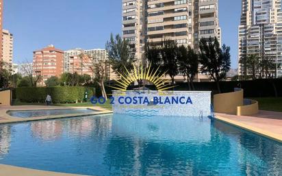 Piscina de Apartament en venda en Benidorm amb Aire condicionat i Terrassa