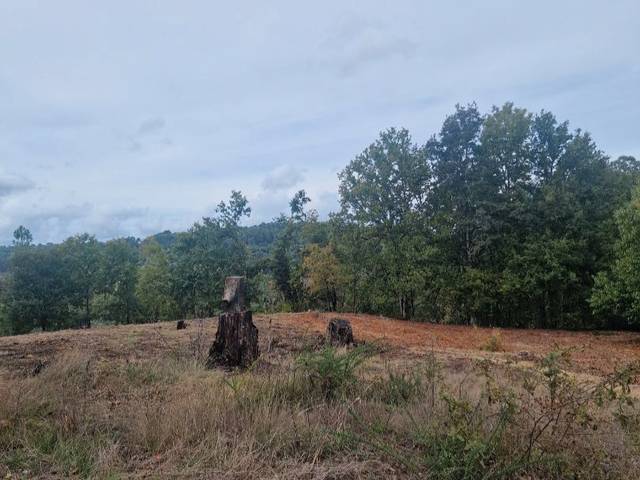 Terreno residencial en Venta en Lugar Partovia, 1 en O Carballiño