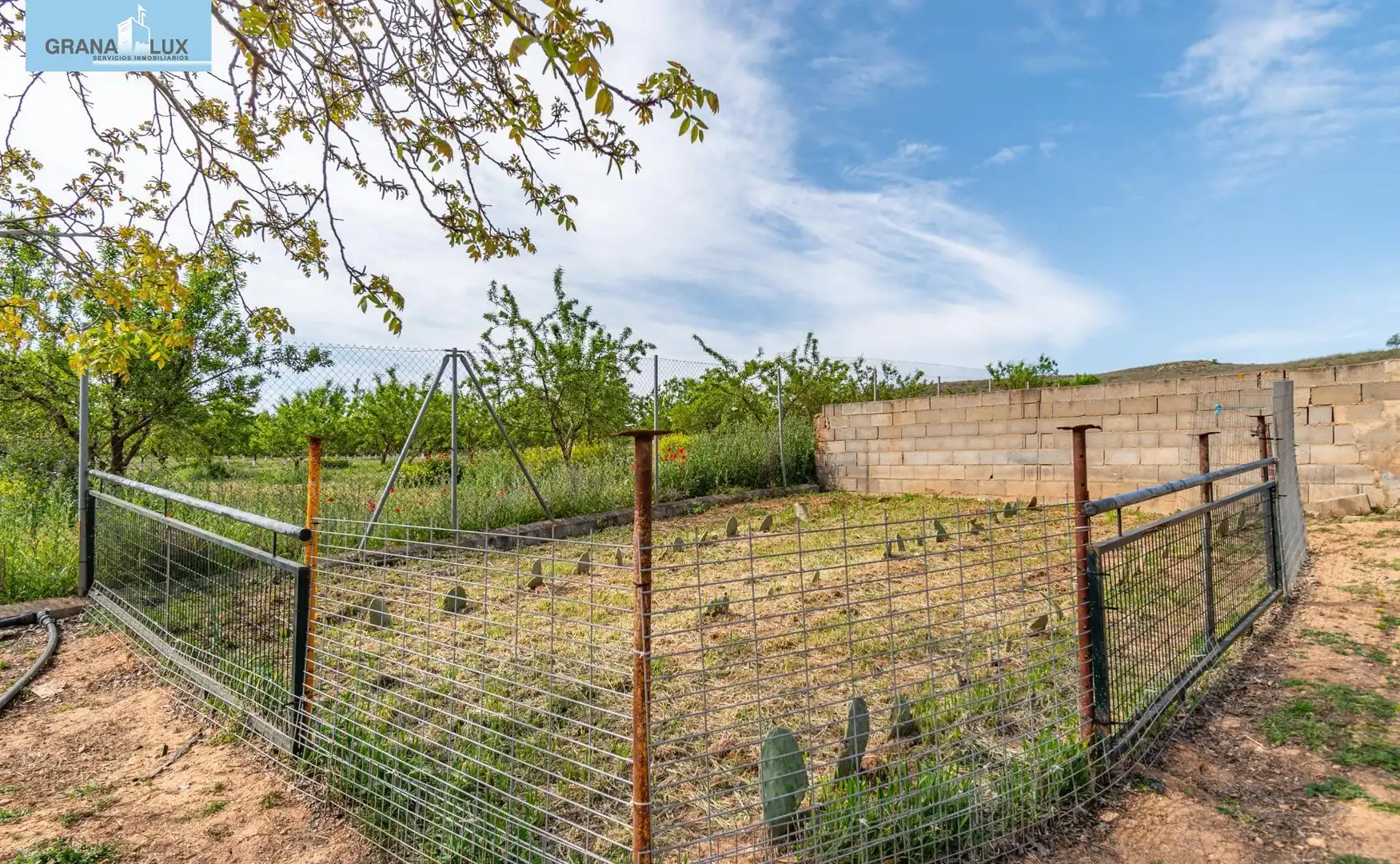 Rural land for sale in 18640, imagen 5