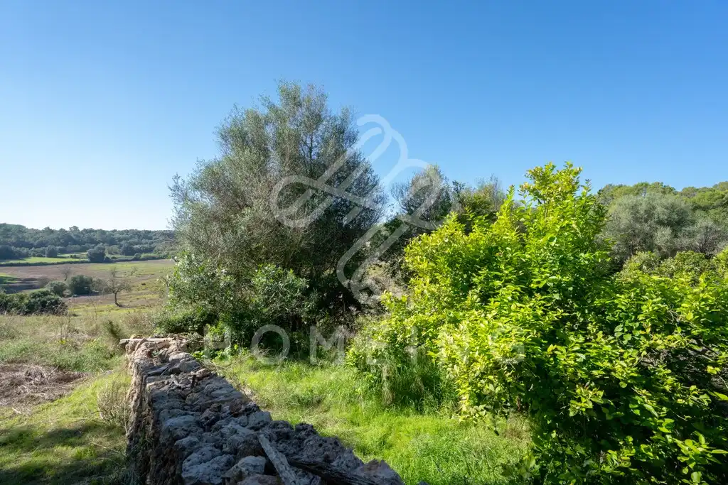 Country house with garden for sale in Costitx, imagen 7