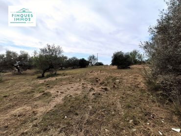 Terrain rustique à vendre à Alcanar
