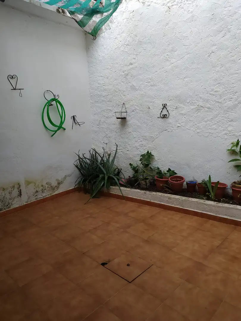 Jardín de Casa o chalet en venta en Siruela