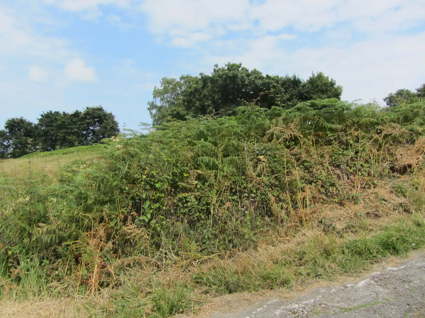 Terreny residencial en venda a Camin de los Payares, imagen 43
