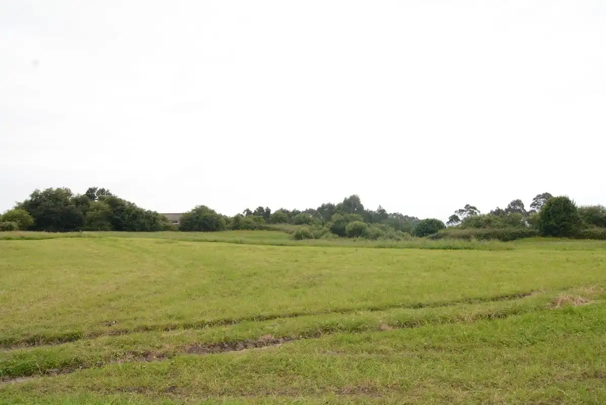 Residential for sale in Ribadedeva
