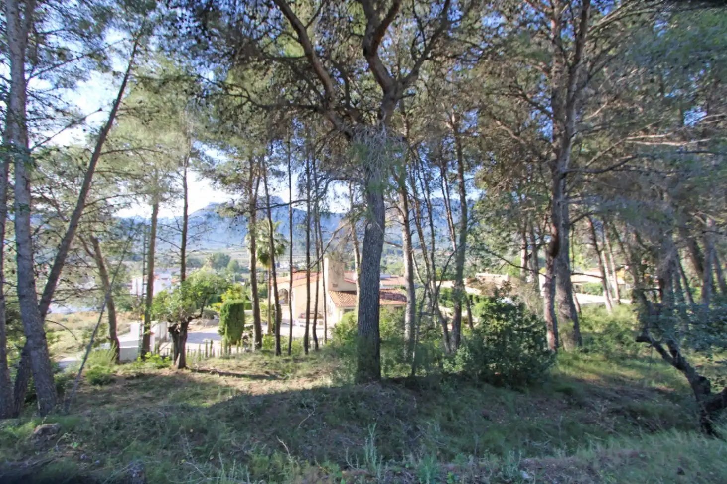 Terreny residencial en venda a Alcalalí, imagen 5