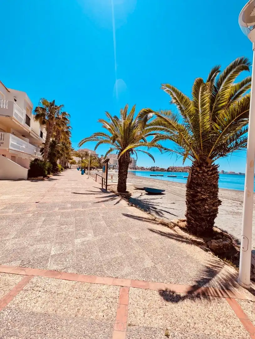 Vista exterior de Casa o chalet en venta en La Manga del Mar Menor con Jardín privado, Terraza y Trastero