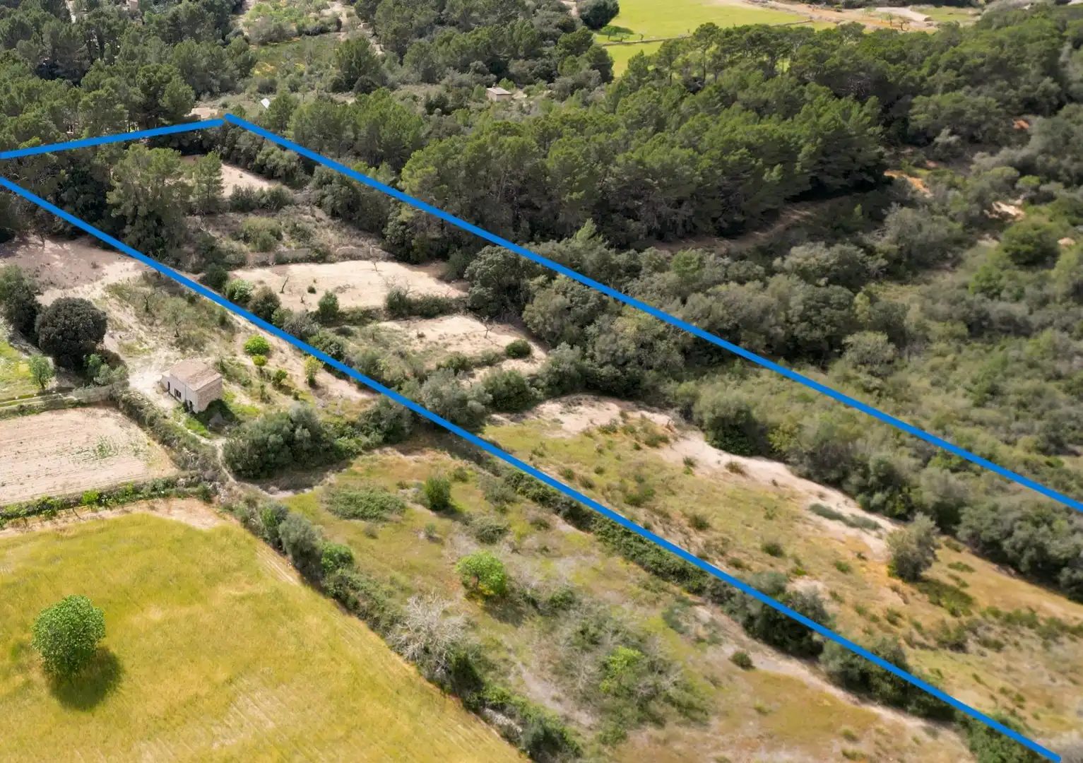 Terreno rustico in vendita a Llucmajor pueblo, imagen 3