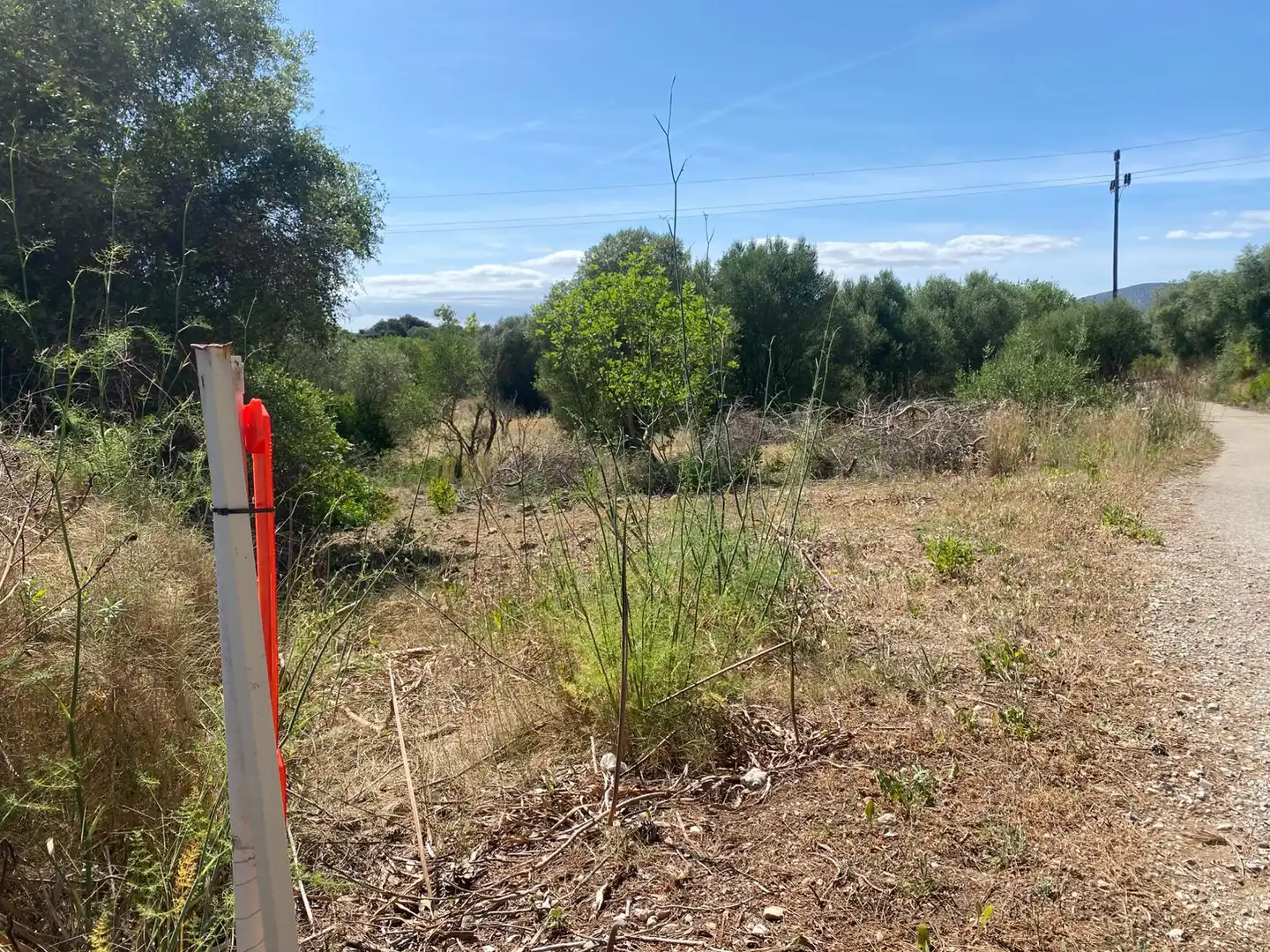 Grundstücke zum Verkauf in Sant Llorenç des Cardassar