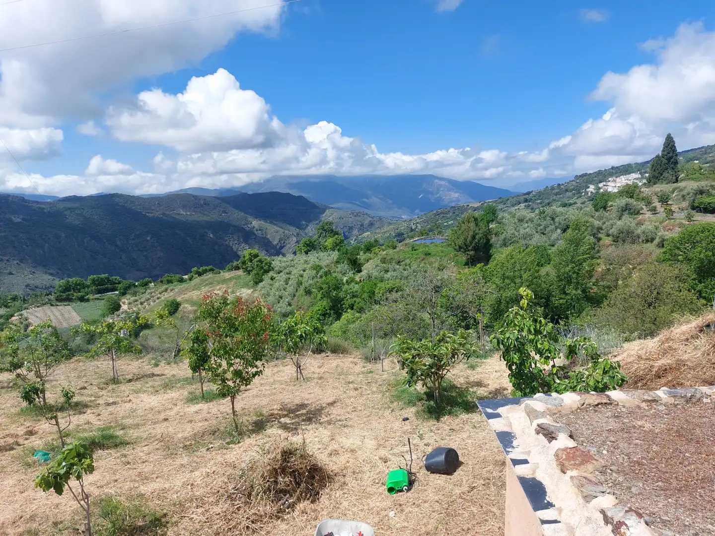 Land for sale in Pórtugos