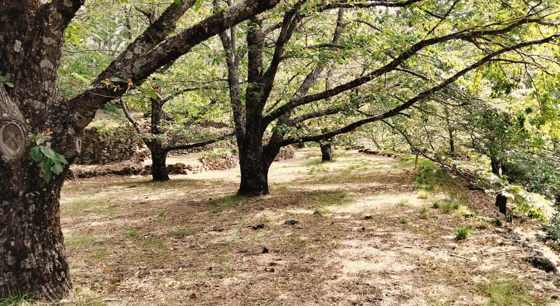Rustikales Grundstück zum Verkauf in Avenida Extremadura 72, imagen 21