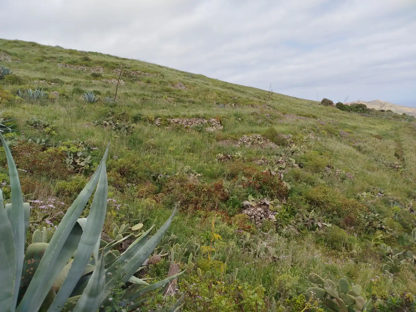 Terrain rustique à vendre à Calle Melian 6, imagen 28