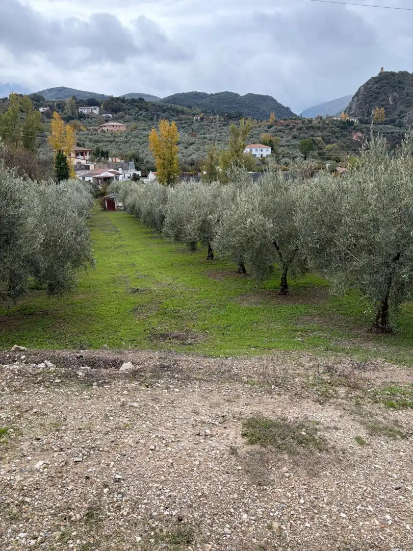 Terreny rústic en venda a Priego de Córdoba, imagen 3