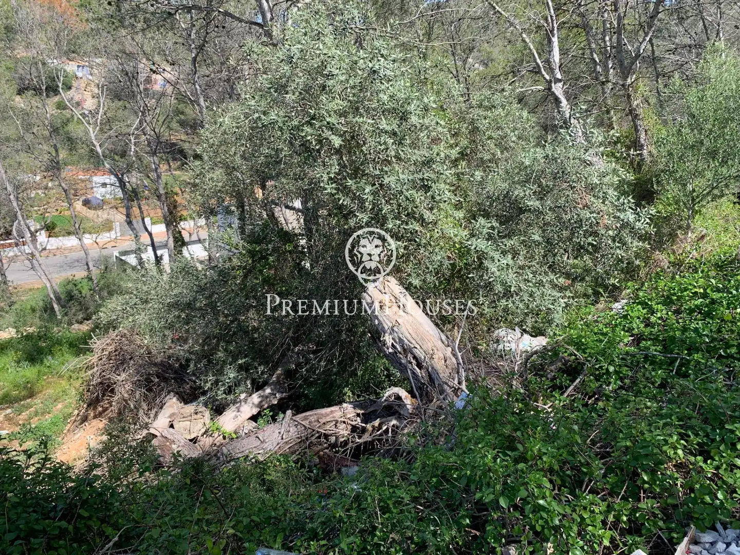 Residential land for sale in Mas Alba, imagen 4