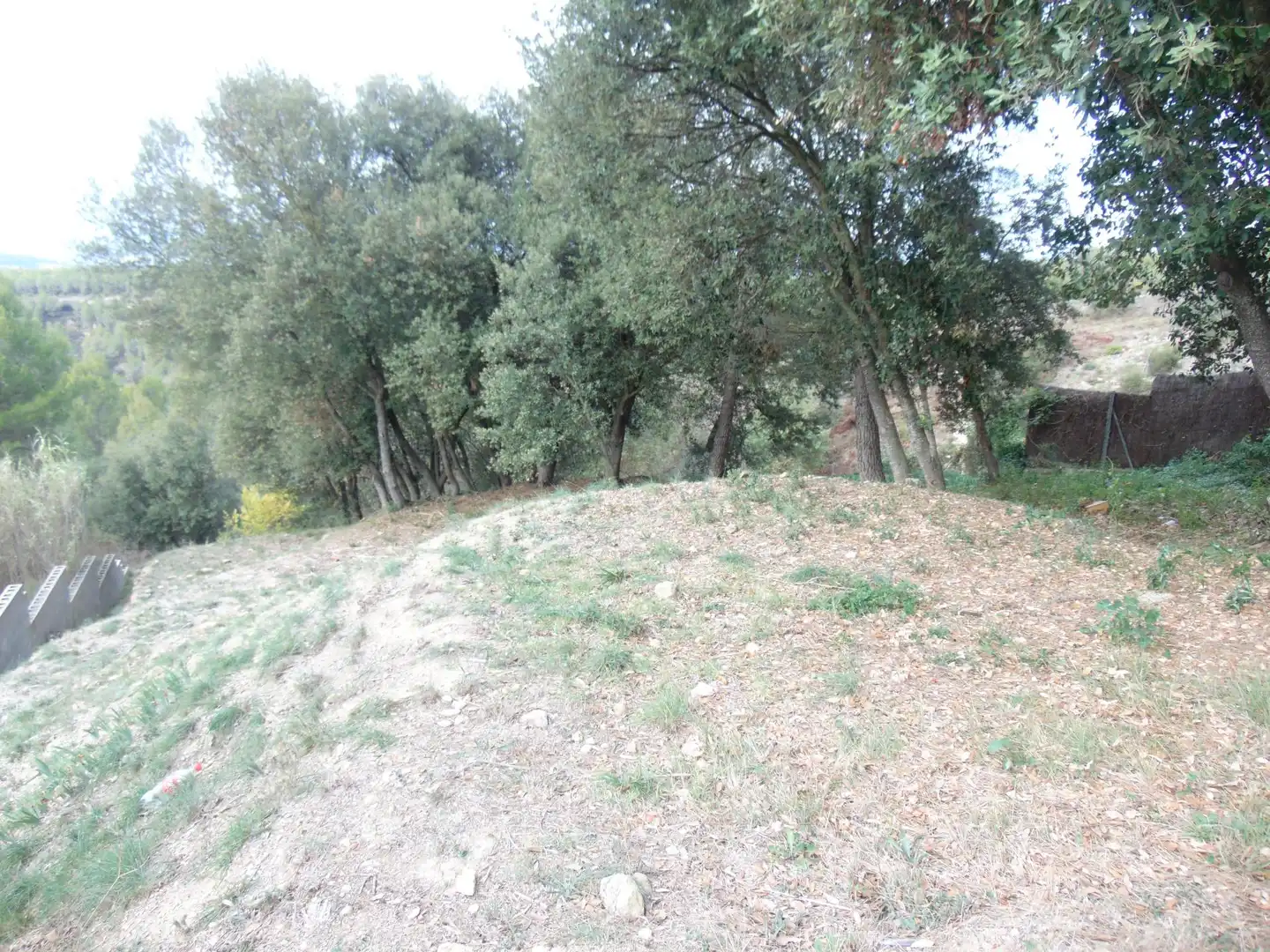 Terreny residencial en venda a de la Llebre 8, imagen 6