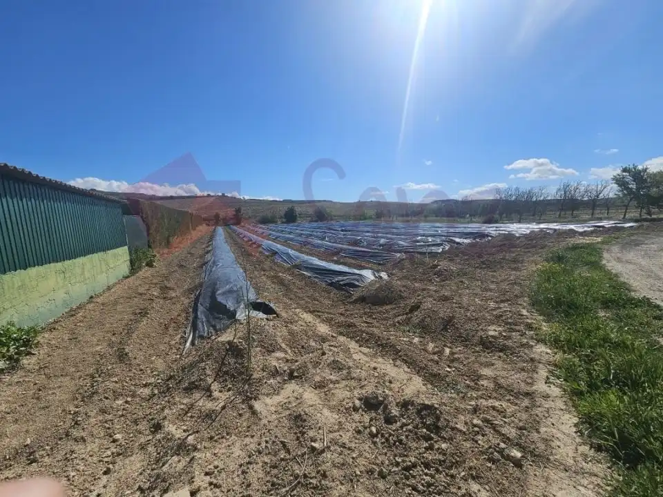 Finca rústica en venta en Lanciego / Lantziego
