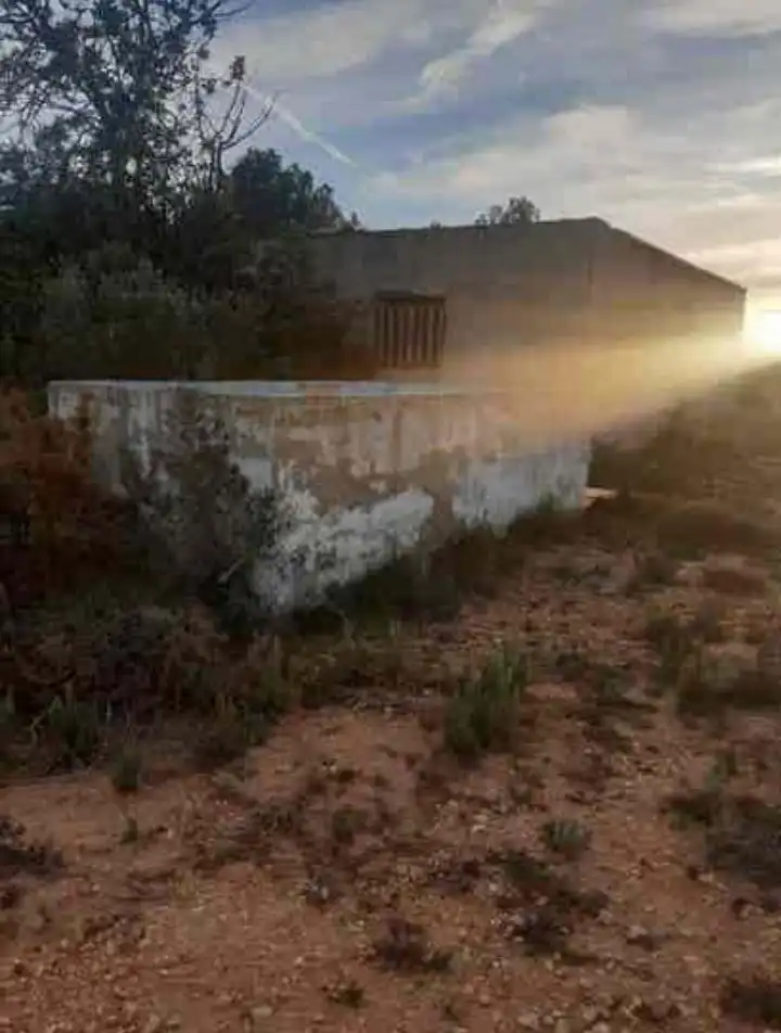 Jardí de Finca rústica en venda en Godelleta amb Jardí privat, Terrassa i Traster