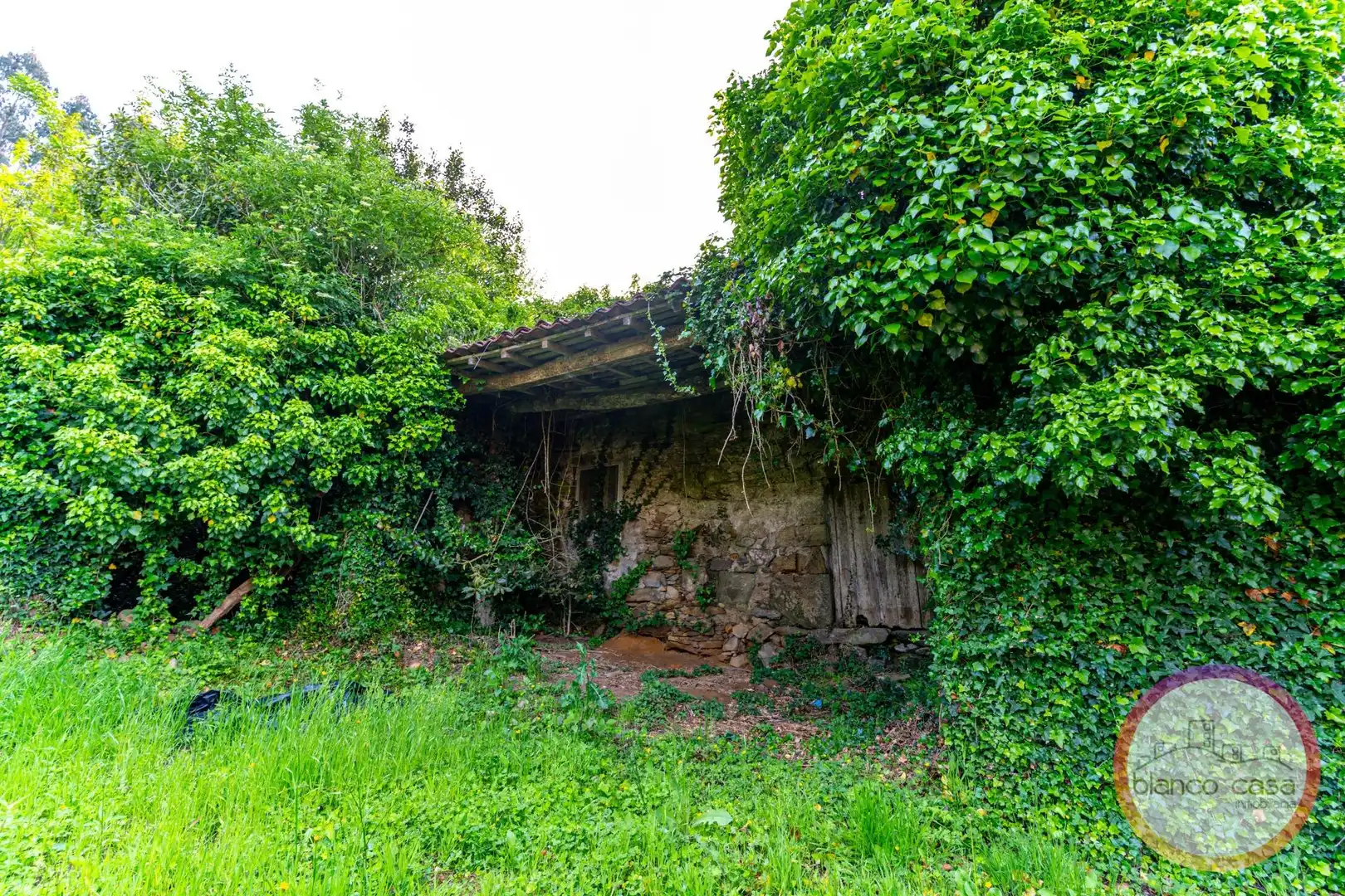 Exterior view of Houses for sale in Carballo
