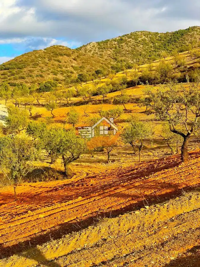 Residential land for sale in Vélez-Rubio, imagen 11