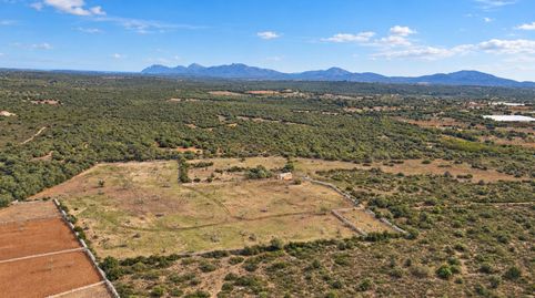 FINCA SON SIURANA, ARIANY ?EUR? 20,7 HECTÁREAS DE MALLORCA AUTÉNTICA Hay lugares en Mallorca donde el tiempo pasa más despacio. So, immagine 3