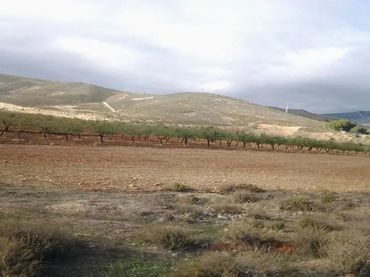 Wohnbaugrundstück zum Verkauf in Zona Jerez
