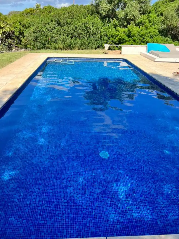 Casa amb piscina en venda a Sa Nastre, imagen 16