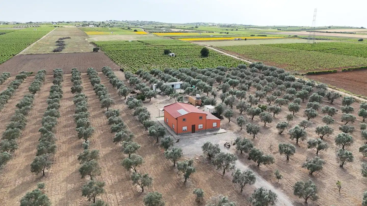 Finca rústica en venta en Lebrija