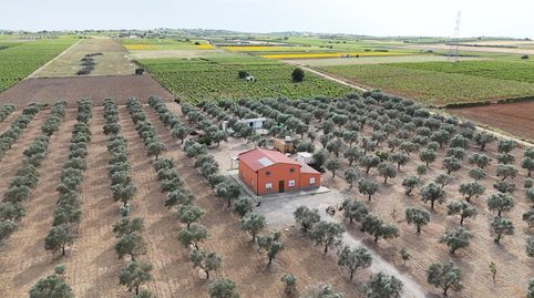 Foto 3 de Finca rústica en venta en Lebrija, Sevilla