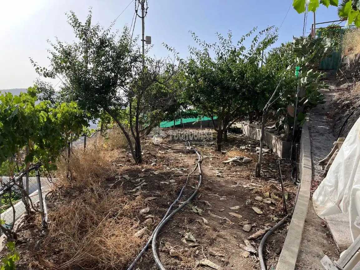 Casa o xalet en venda en Artenara