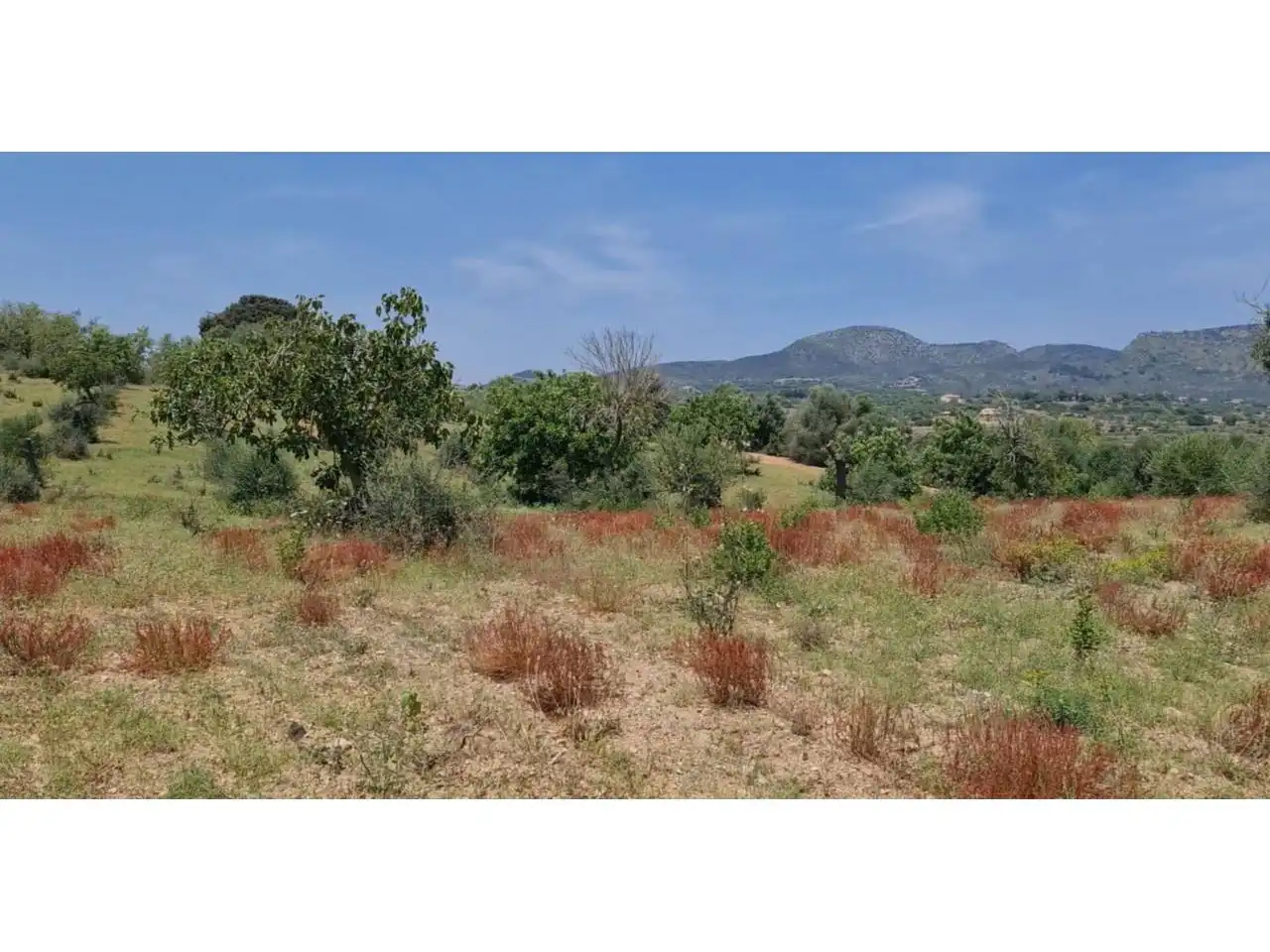 Rural land for sale in Poligono 5 723, imagen 37