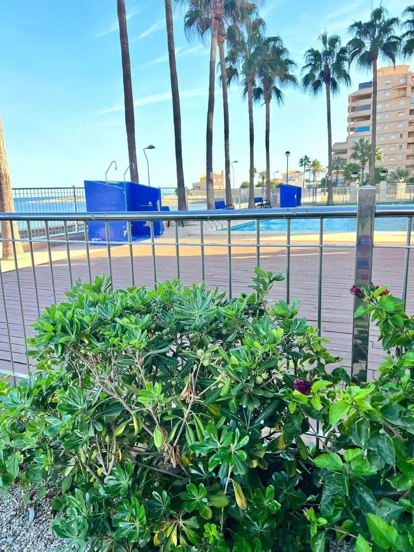 Schwimmbecken von Dachboden zum Verkauf in La Manga del Mar Menor mit Terrasse, Möbliert und Gemeinschaftspool
