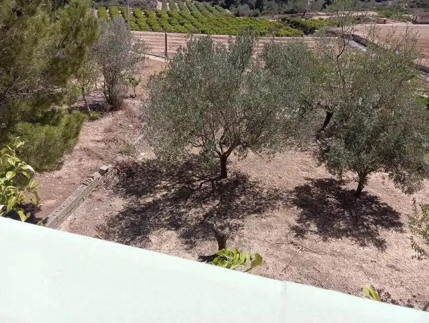 Casa o chalet en venta en Godelleta con Jardín privado, Terraza y Trastero