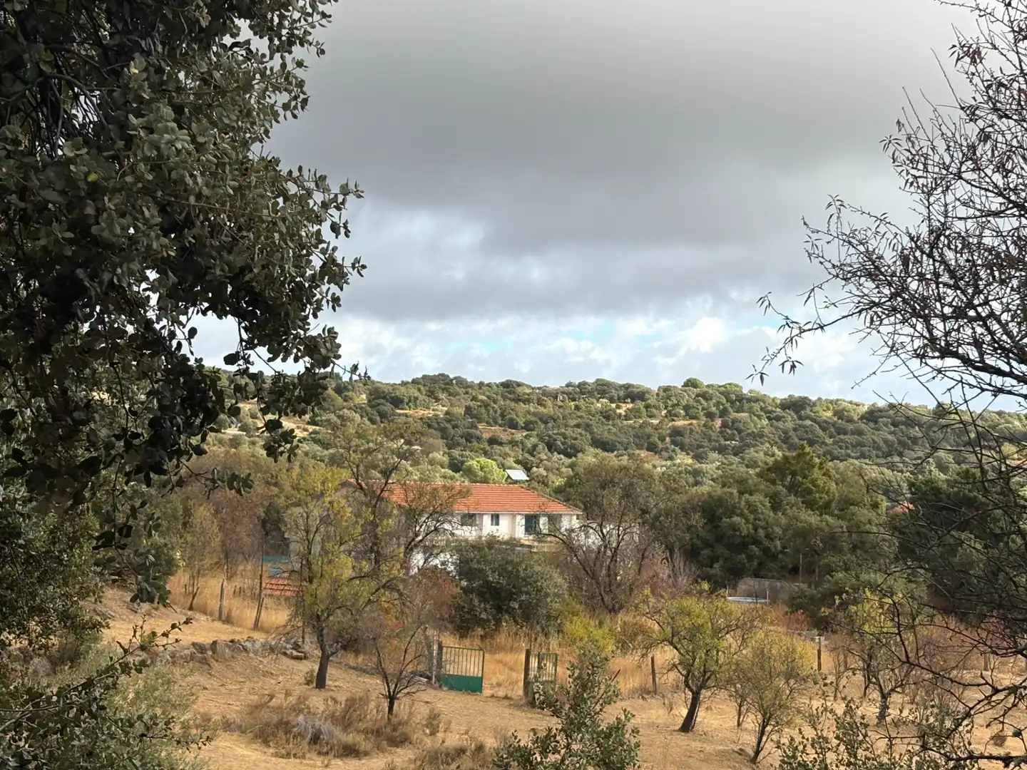 Exterior view of Country homes for sale in Cenicientos