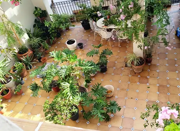 Terraced house with terrace for sale in Carrer Mestre Salvador Ferrandis, imagen 13