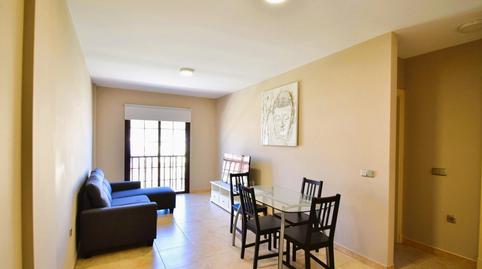 Foto 4 de Piso de alquiler en Gracia, San Cristóbal de la Laguna