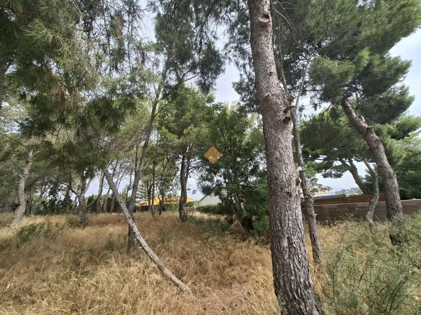 Terreno residenziale in vendita a La Conarda - Montesano, imagen 3
