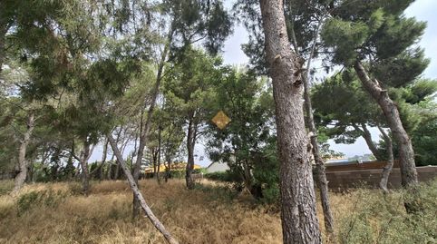 Foto 3 de Residencial en venta en La Conarda - Montesano, Bétera