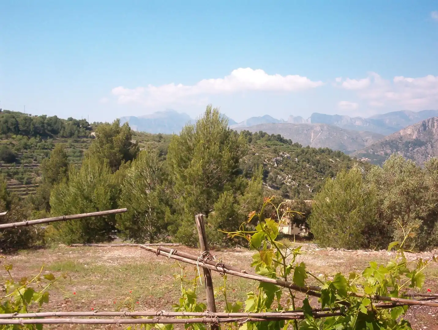Country house for sale in Tàrbena, imagen 22