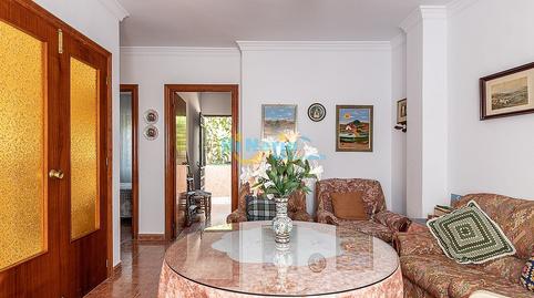 Foto 4 de Finca rústica en venta en El Peñoncillo, Málaga