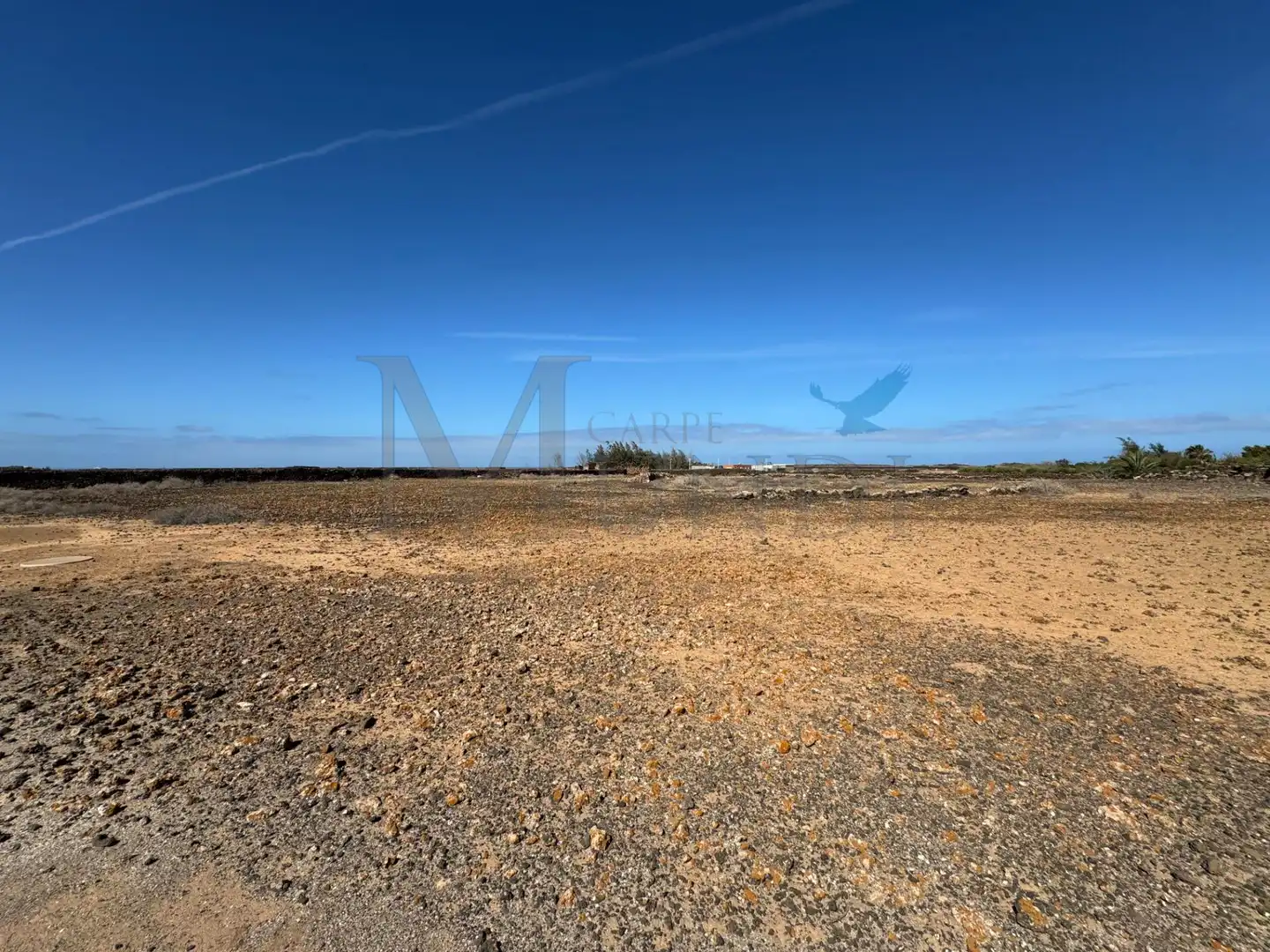 Land for sale in La Oliva