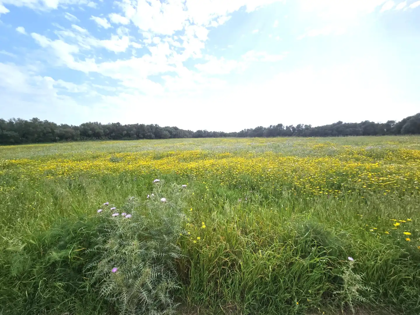 Land for sale in  Palma de Mallorca
