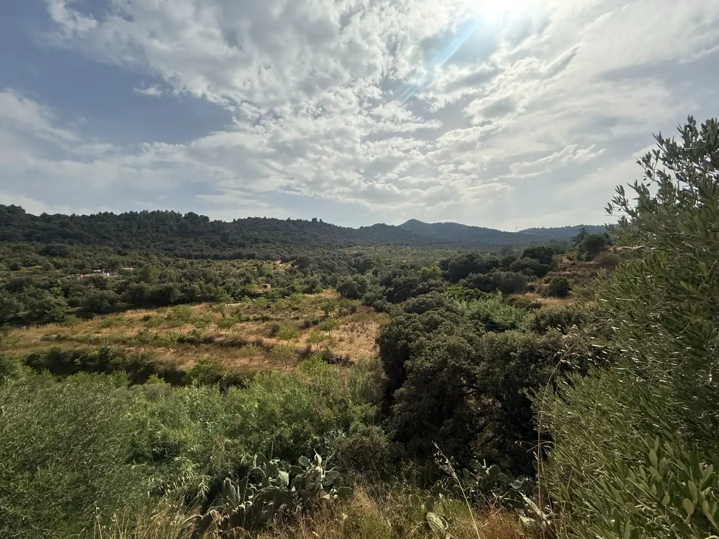 Finca rústica en venda en L'Aleixar amb Calefacció, Jardí privat i Parquet