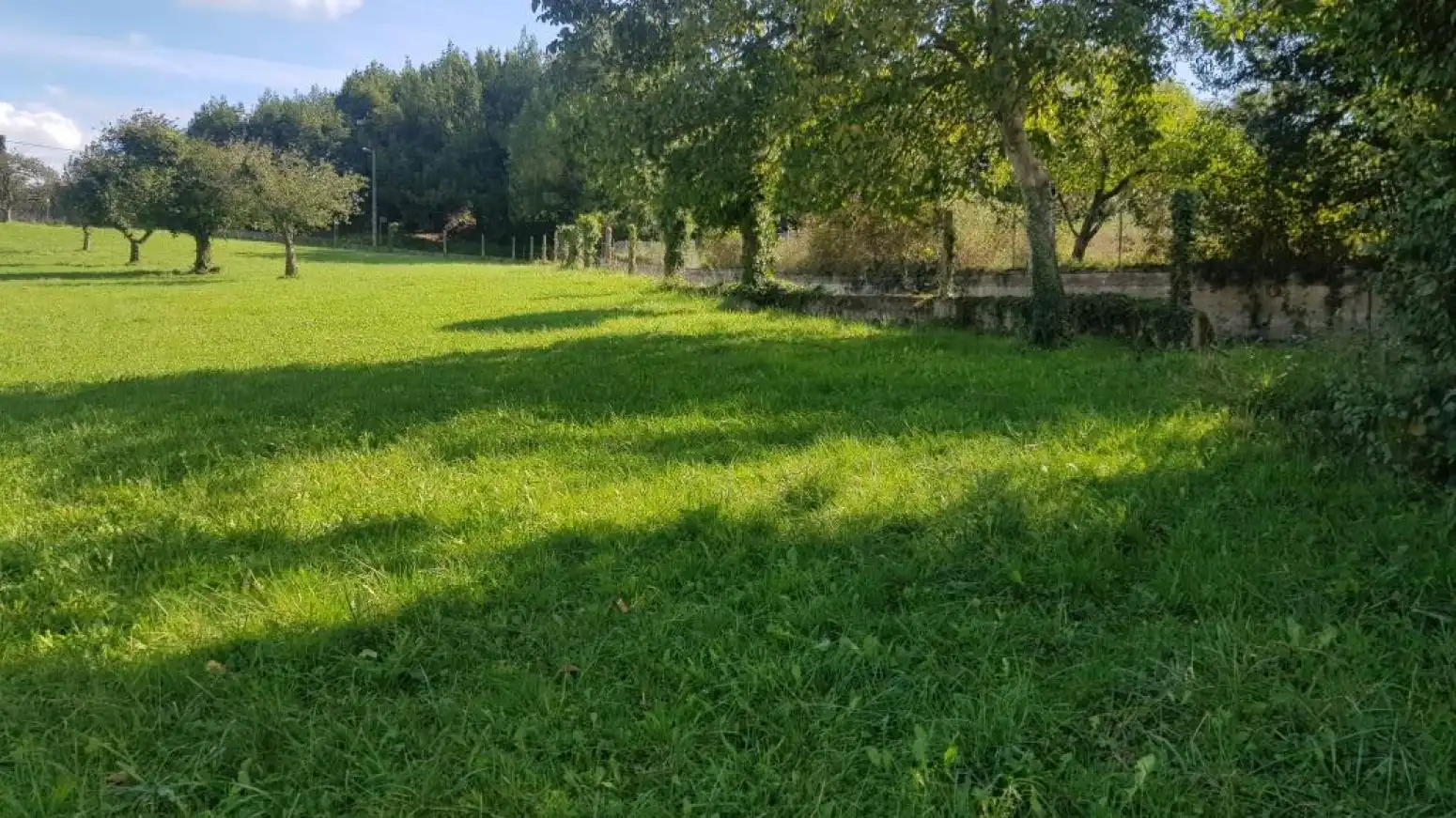 Residential land for sale in San Miguel - SAN MIGUEL DE LA BARRERA, imagen 2