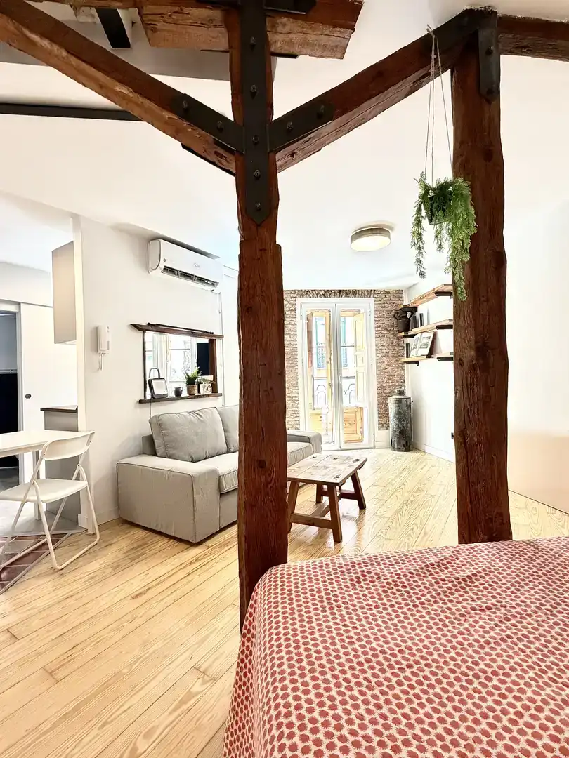 Living room of Study for rent in  Madrid Capital  with Air Conditioner and Balcony