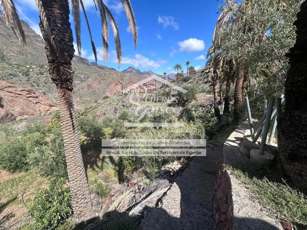 Exterior view of Land for sale in Santa Lucía de Tirajana