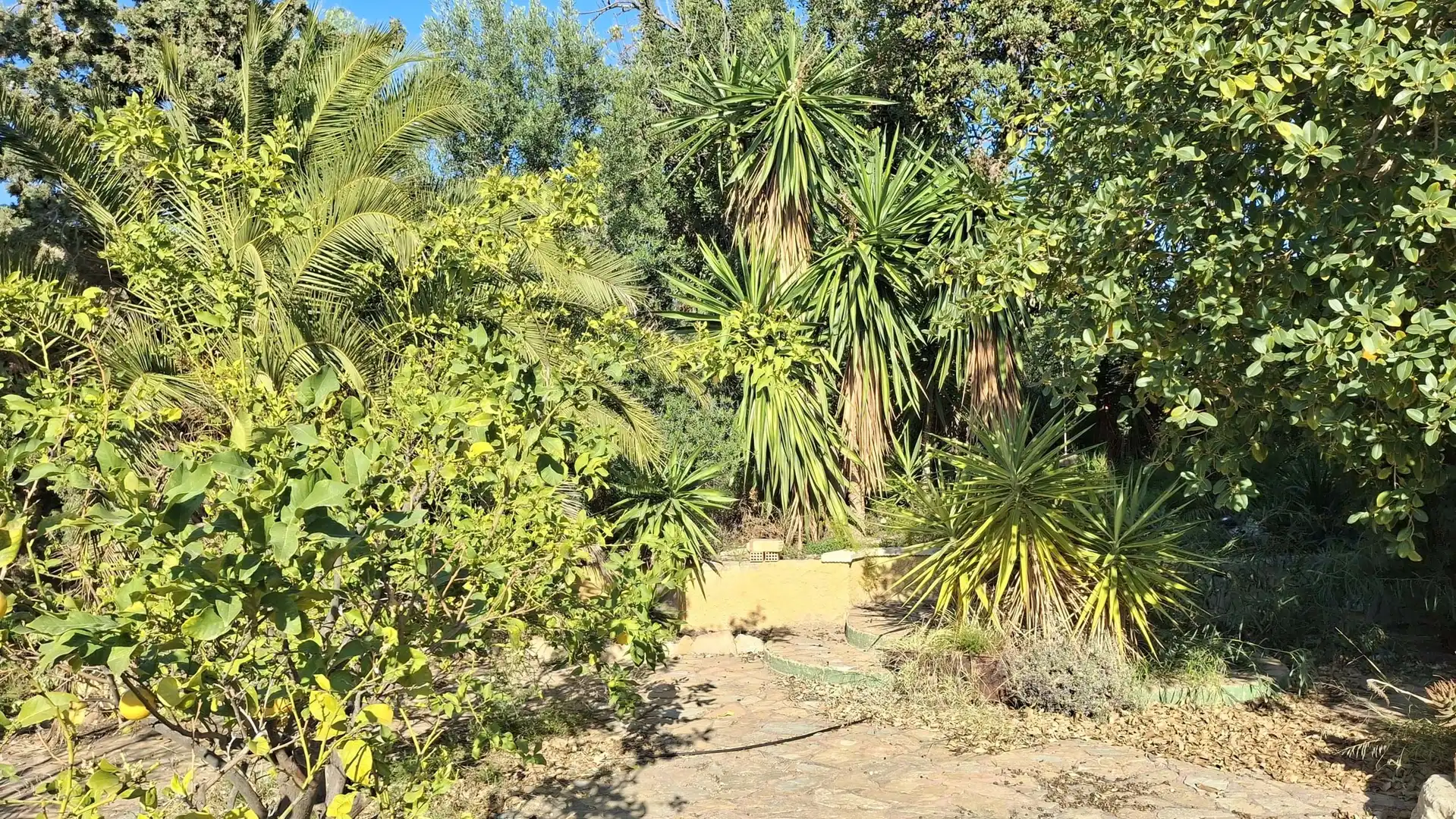 Jardín de Casa o chalet en venta en Mutxamel con Terraza