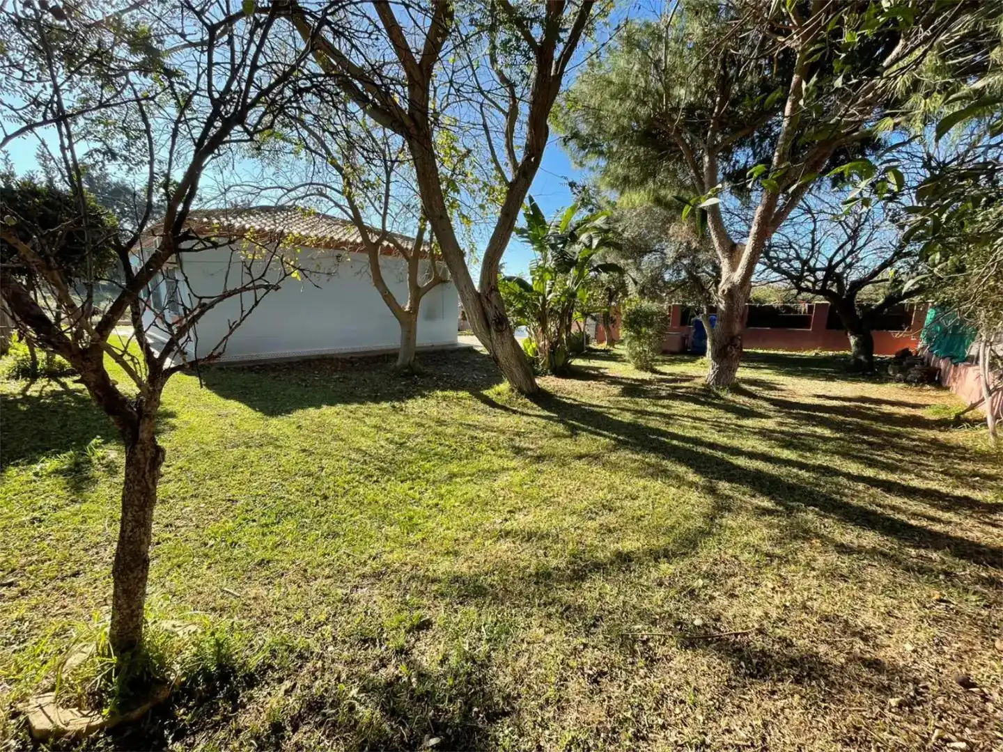 Jardí de Casa o xalet en venda en Chiclana de la Frontera amb Aire condicionat