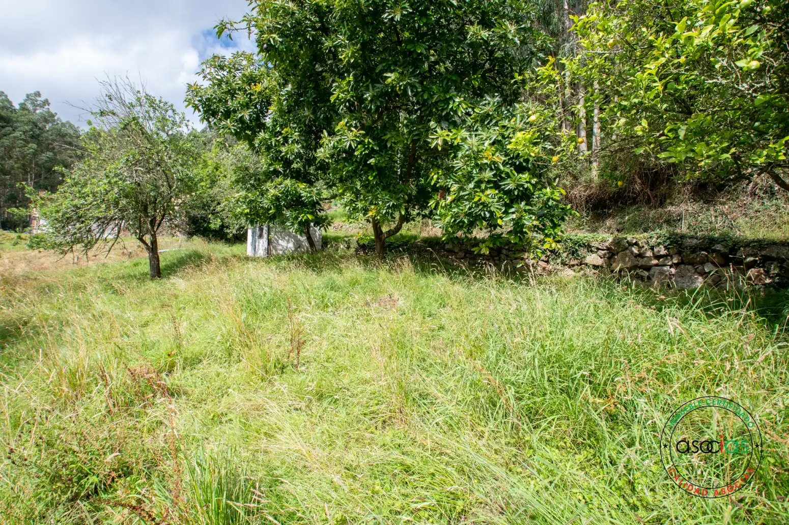 Casa o xalet en venda en Villaviciosa amb Jardí privat i Traster